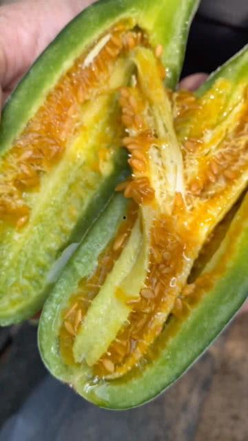 怎么发吃瓜视频,轻松吸引粉丝关注