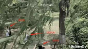 摆拍吃瓜视频,幕后真相大揭秘