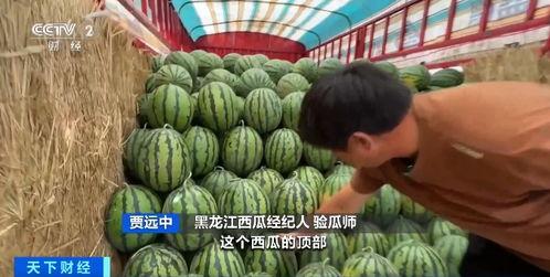 今年吃瓜行情,盘点娱乐圈的“瓜田”盛事