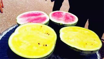 南通卫校吃瓜爆料,揭秘校园内幕与真实故事