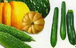 巴里斯吃瓜,揭秘娱乐圈的甜蜜与苦涩