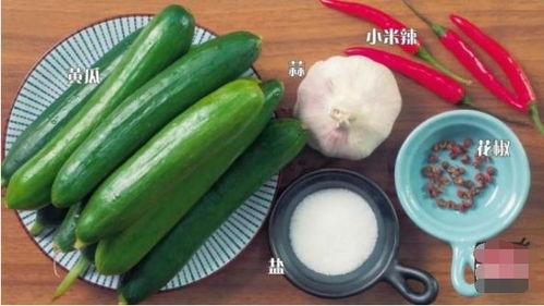 小叮铛吃瓜,小叮铛的瓜田奇遇记