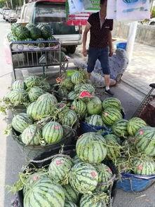 尤溪铺头吃瓜事件,一场引发热议的街头冲突